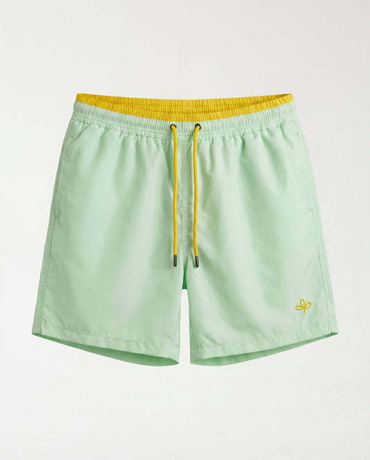 Swimsuit CAMPY 2026 G&Y