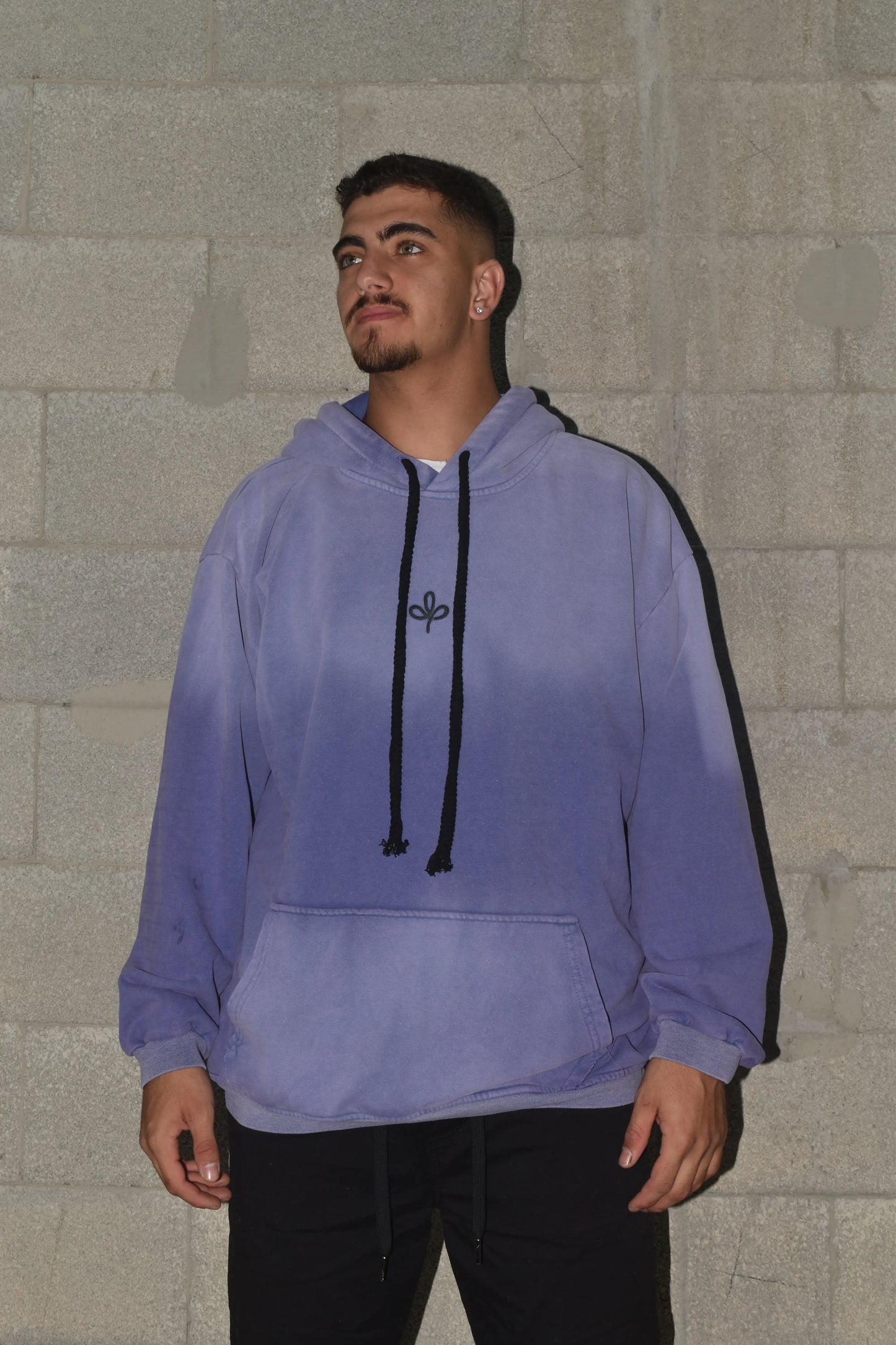Sweatshirt OVERSIZE CAMPY logo front purple