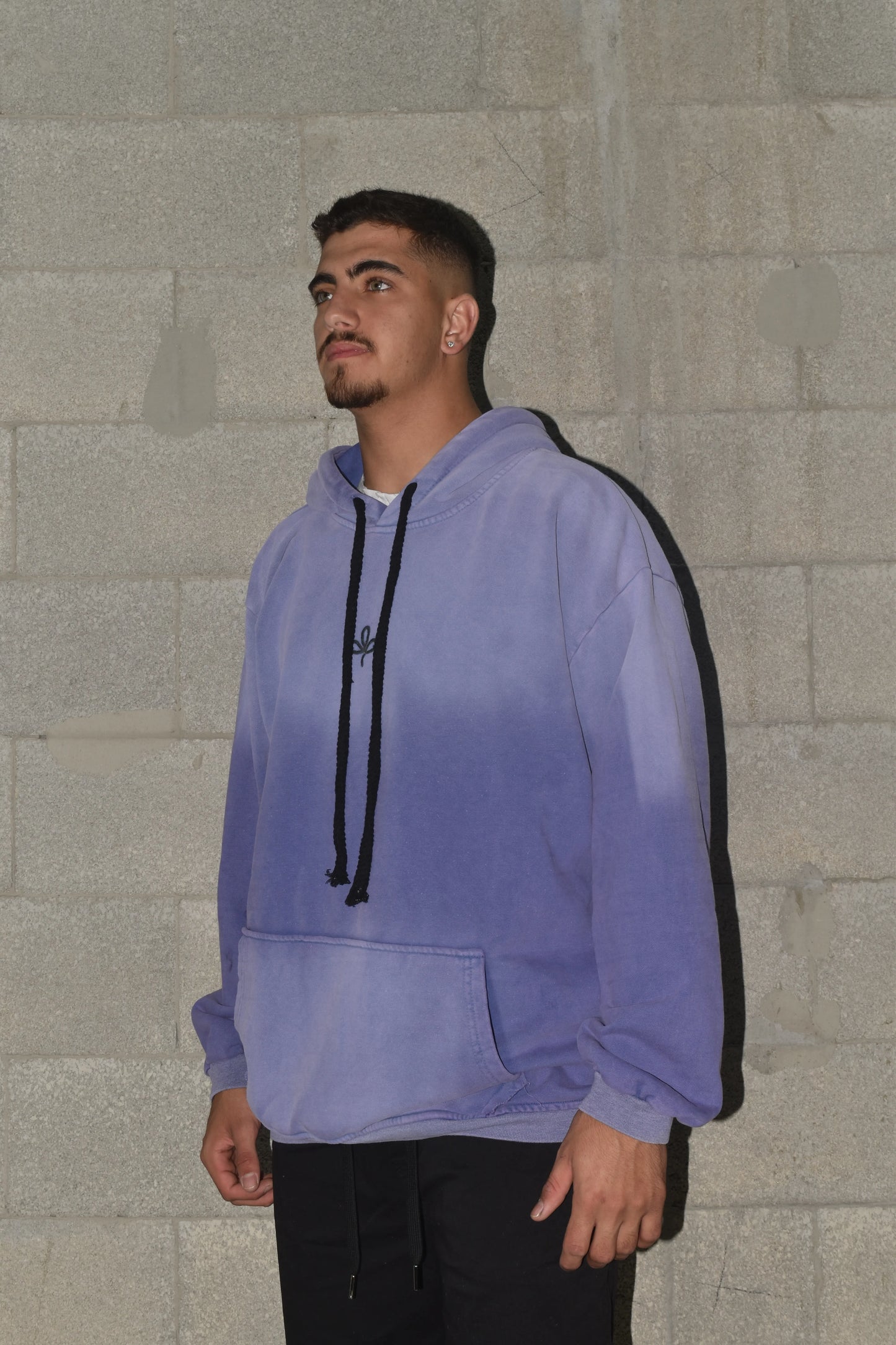 Sweatshirt OVERSIZE CAMPY logo front purple