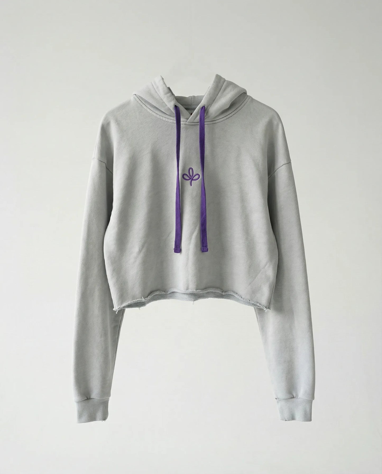 Sweatshirt - CAMPY LOGO STREETS CROP GRAY
