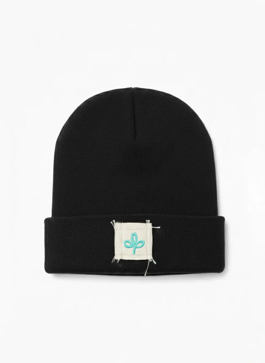 Logo Hat Paz B&BL